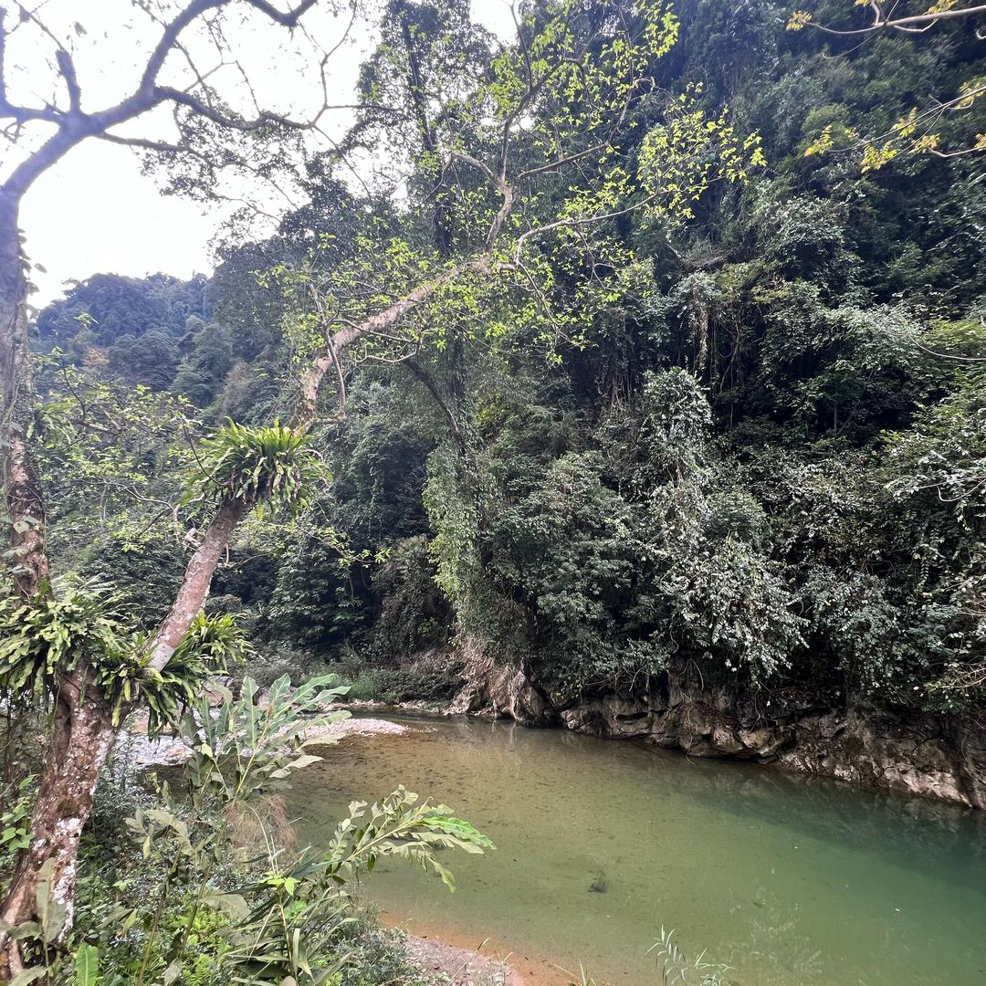 喵喵爱跑山