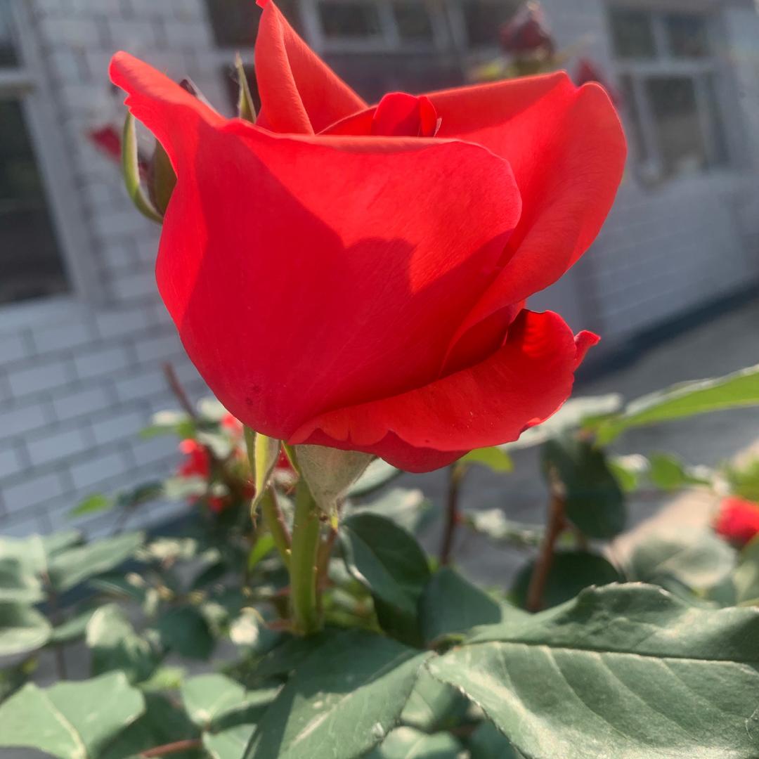 🎈万事顺遂🎈