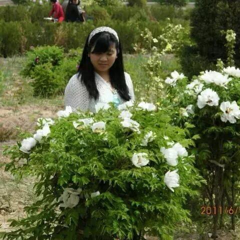 木落琴箫