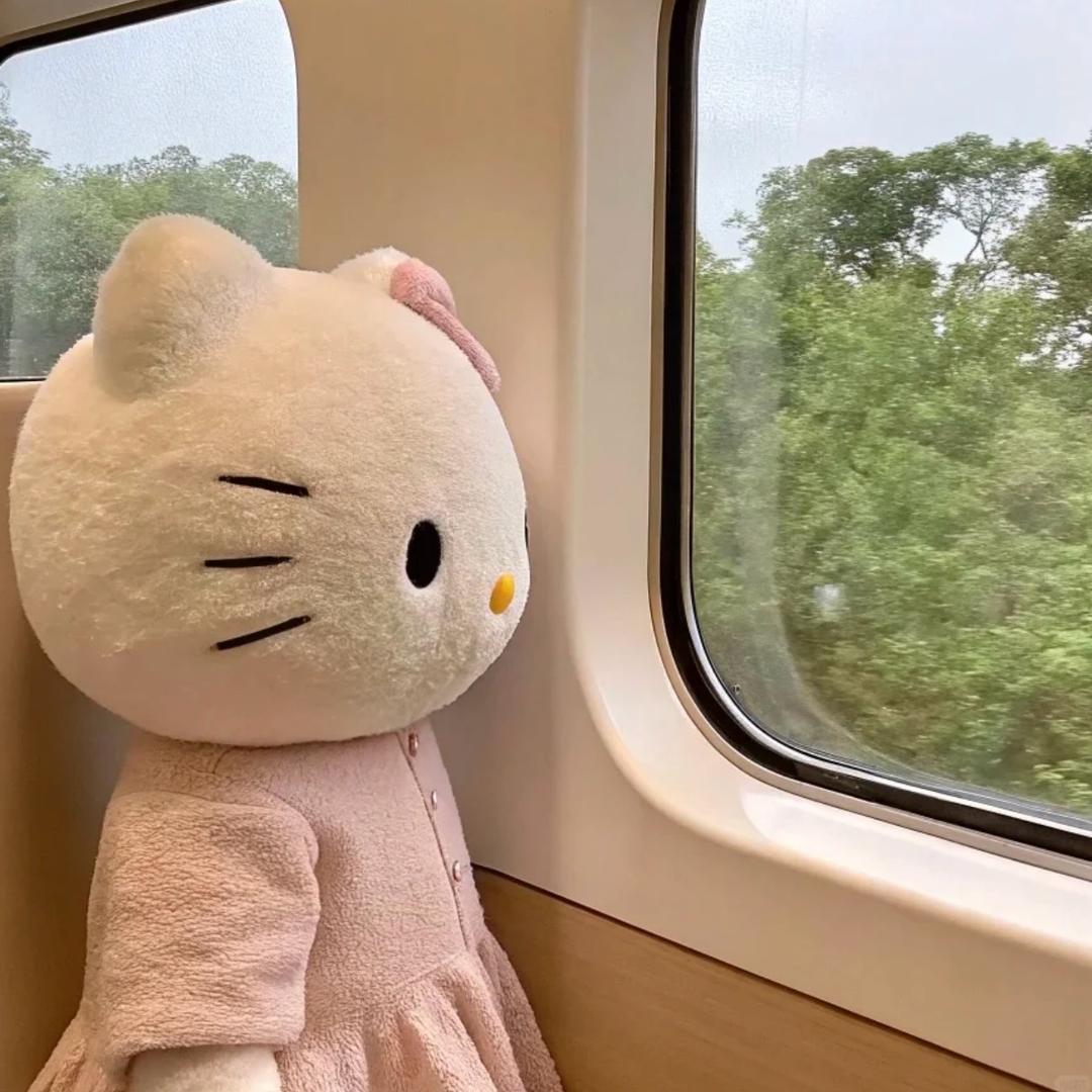 会飞的猪🐽