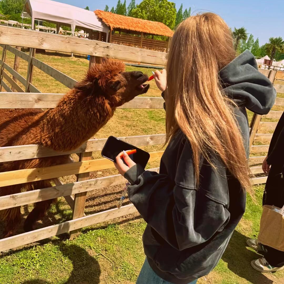 靠脸吃饭差点饿死