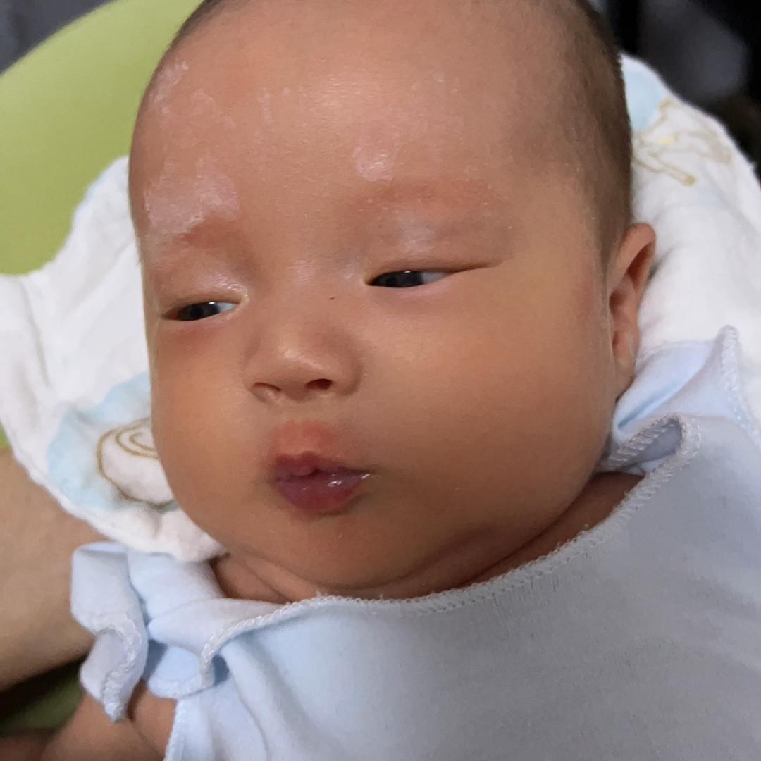 多乐乐多