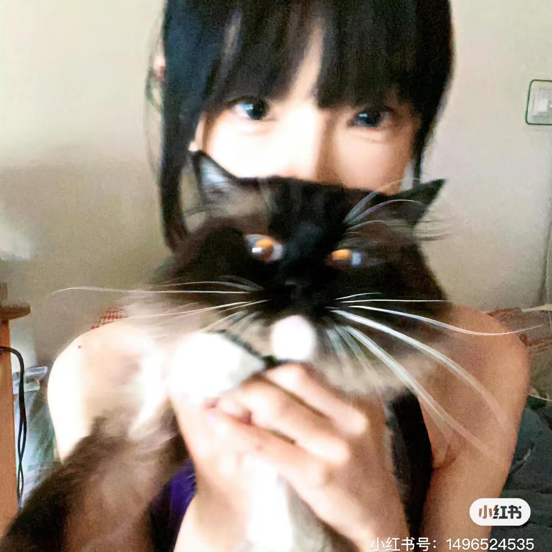 不喜欢吃鱼🐟