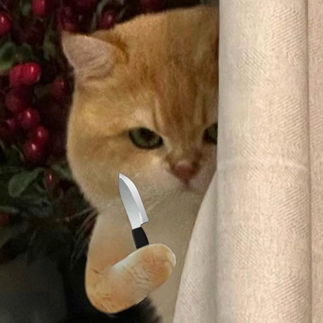 小小琪_
