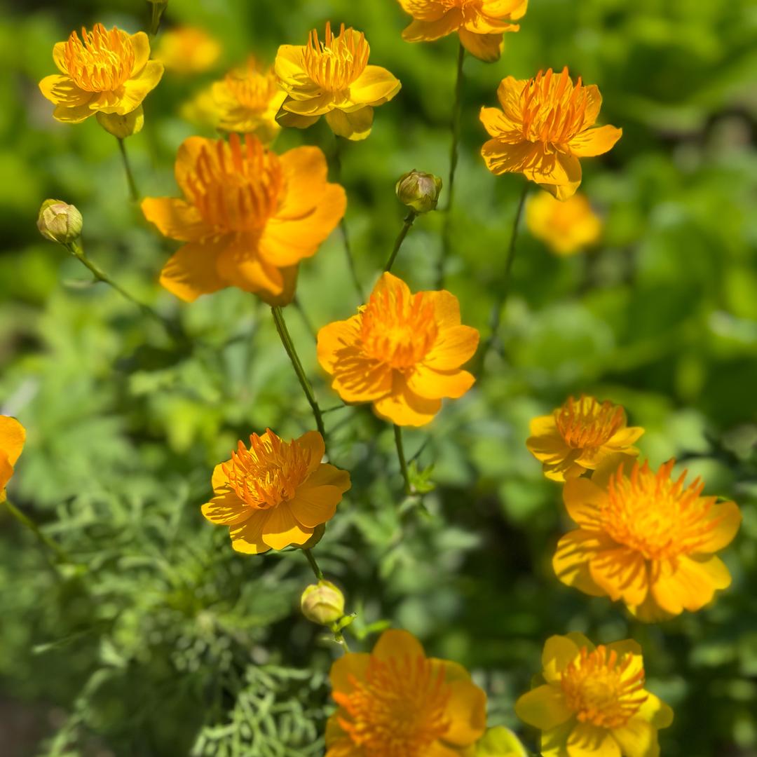 💕᭄ꦿ很幸运ོ࿆遇见你᭄🕊