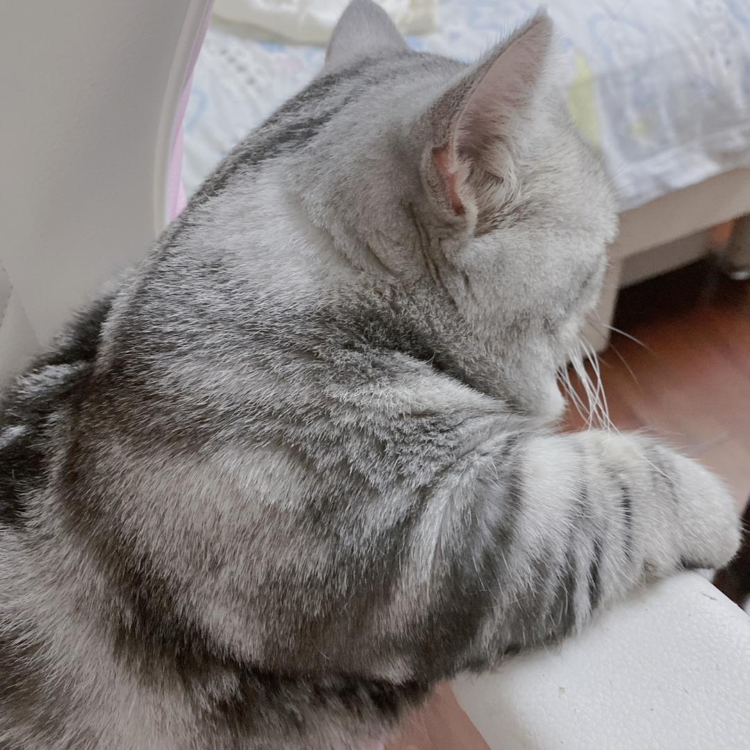 潞酱🎀头像