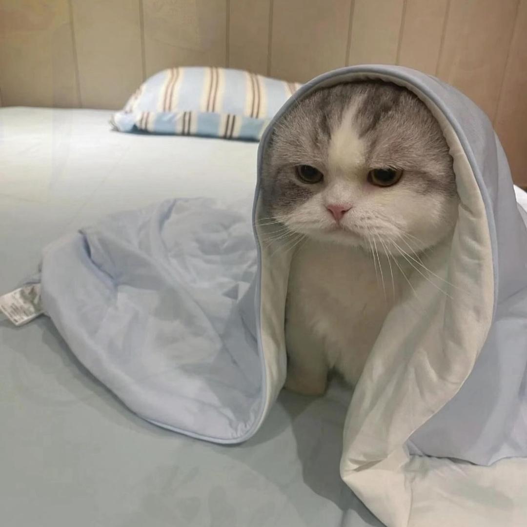 那么凶干嘛