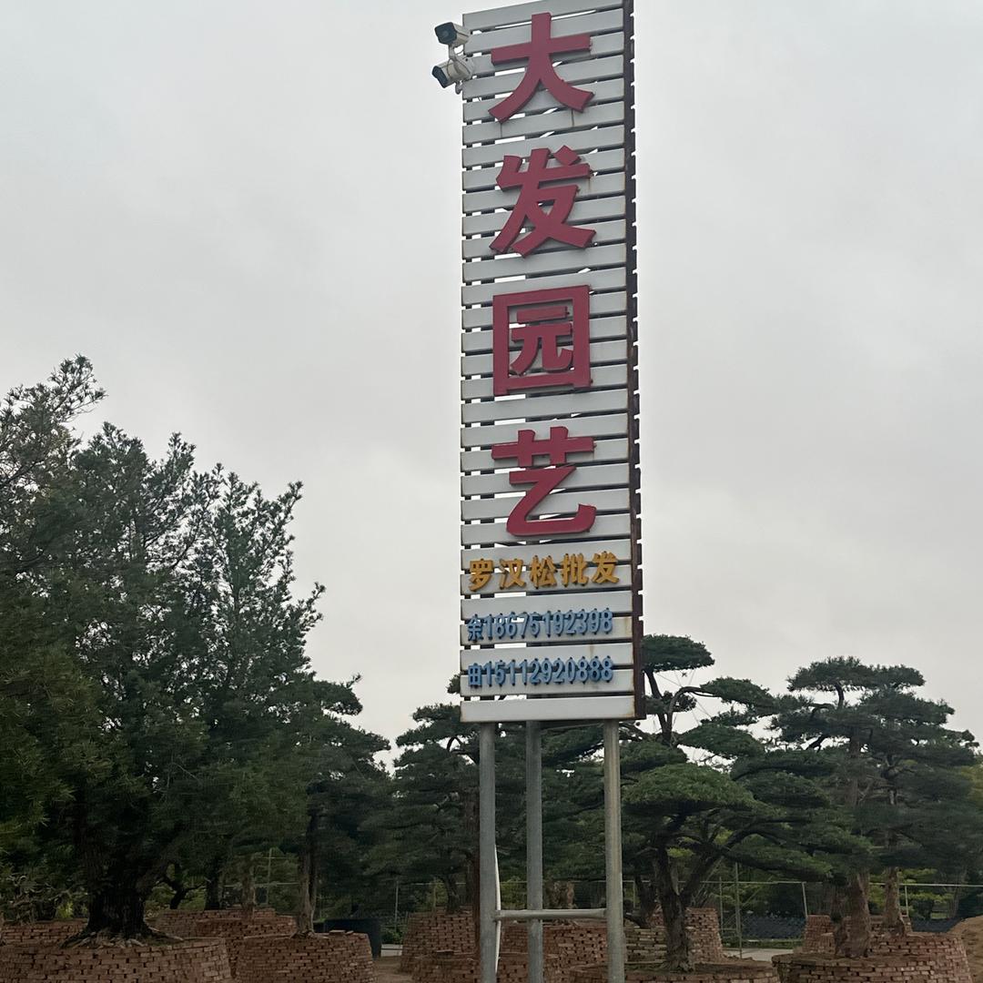 大发园艺