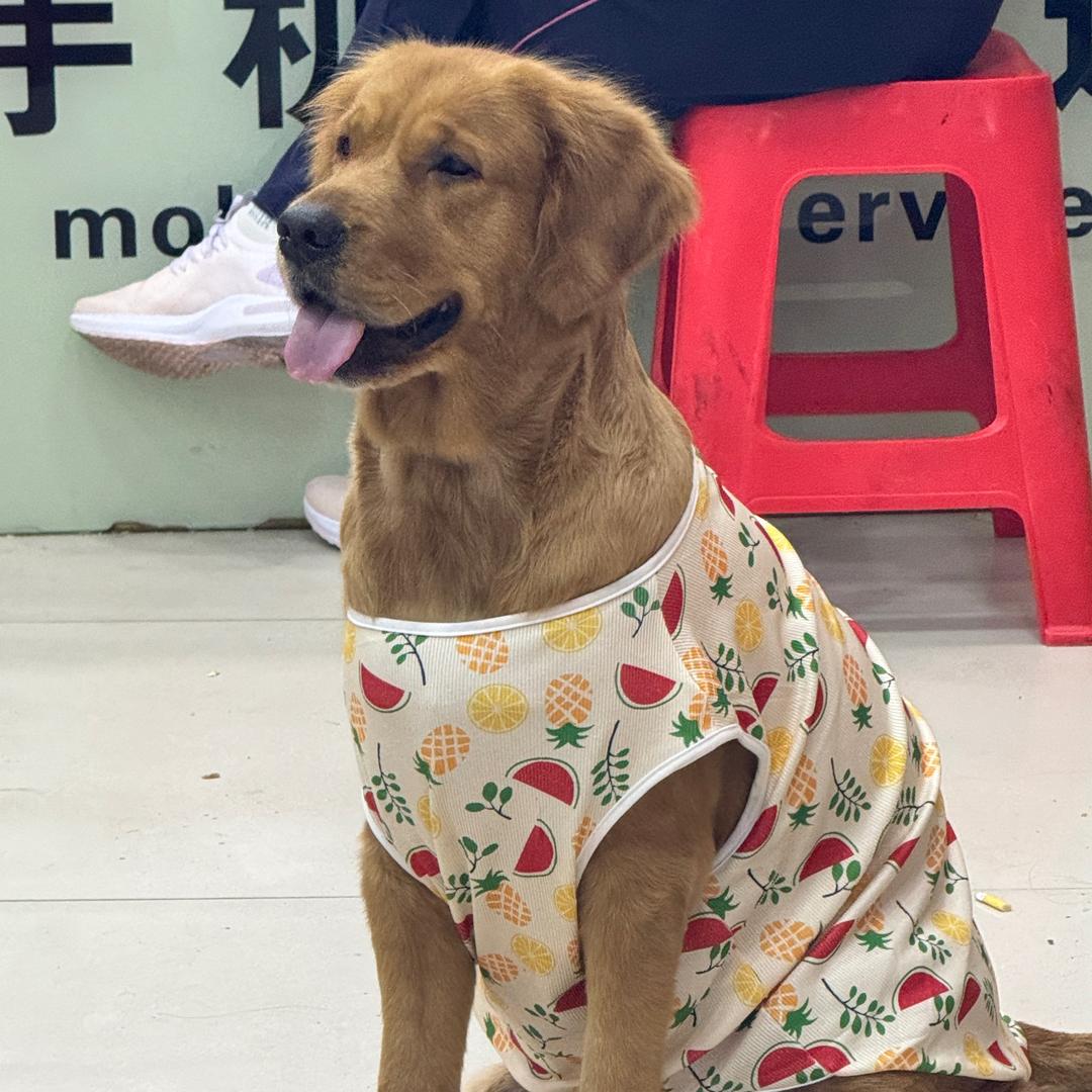 钱多多的逗
