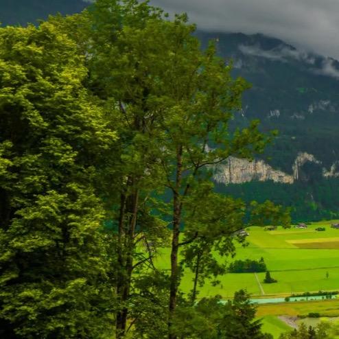 小小影视(直播学习中)