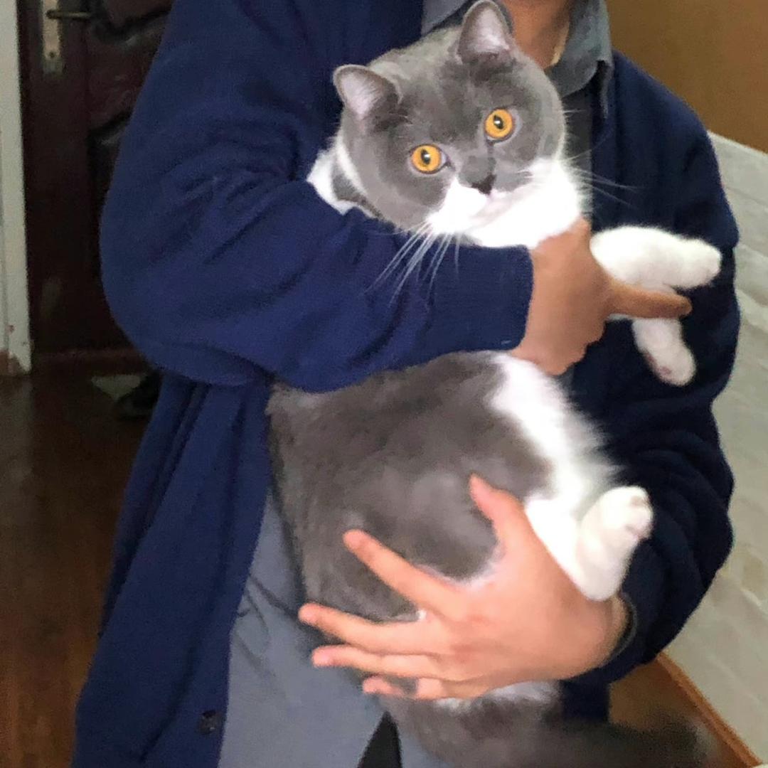 贺犇