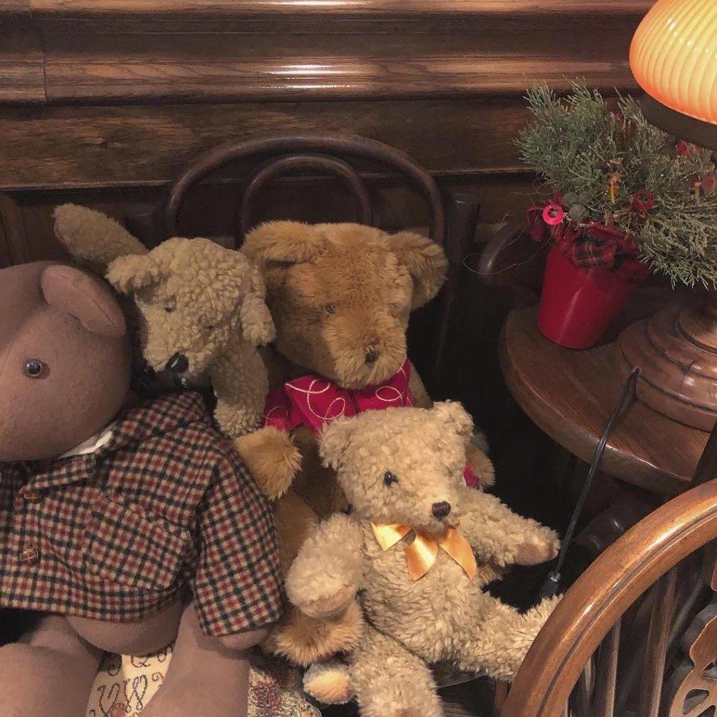 🔆巷子里的猫💜