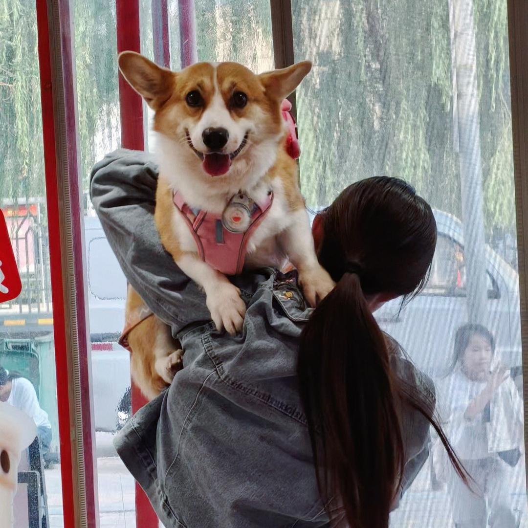 皮蛋baby
