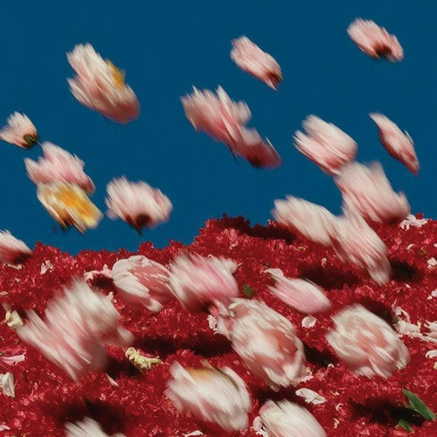 骐骥