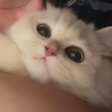 小鑫。