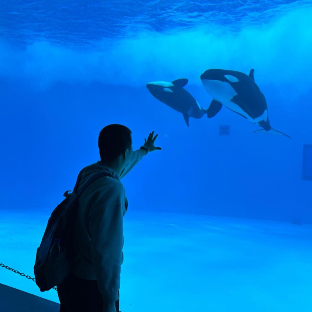 🌈小龙人🌈🪿