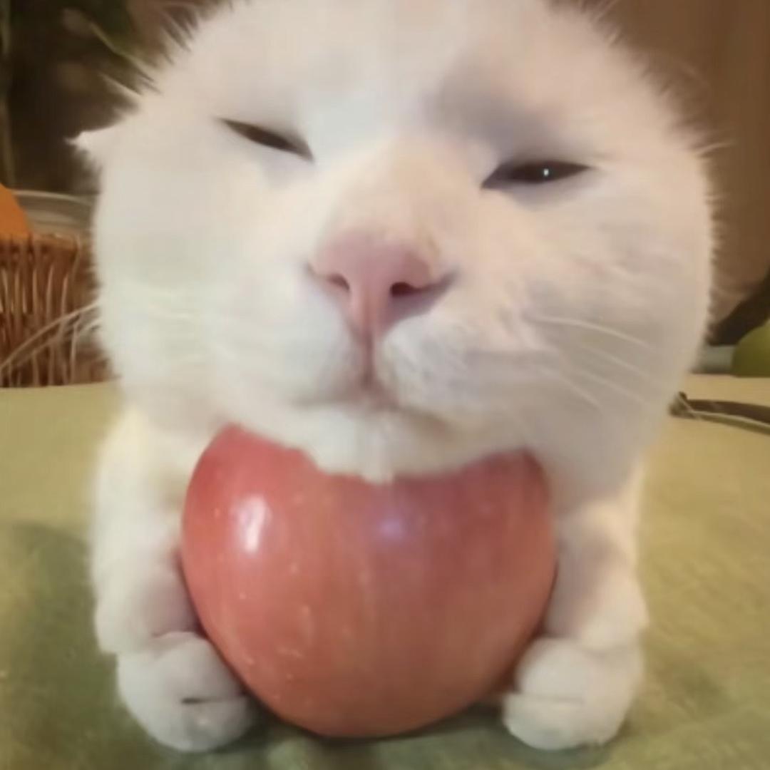 便便大王
