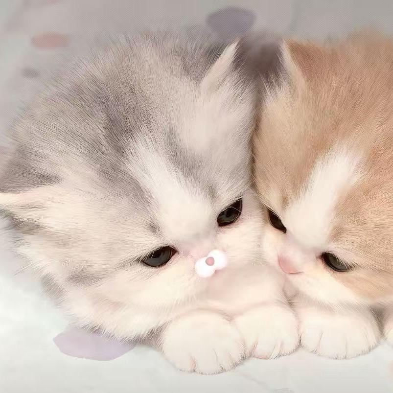 ^ 屋檐下^