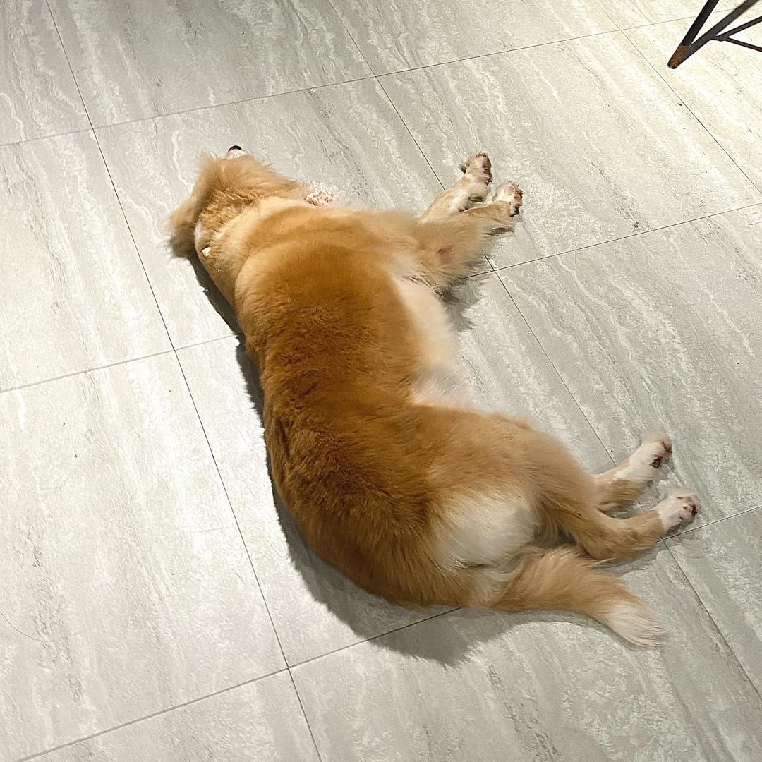 salaaaaaaaaaa