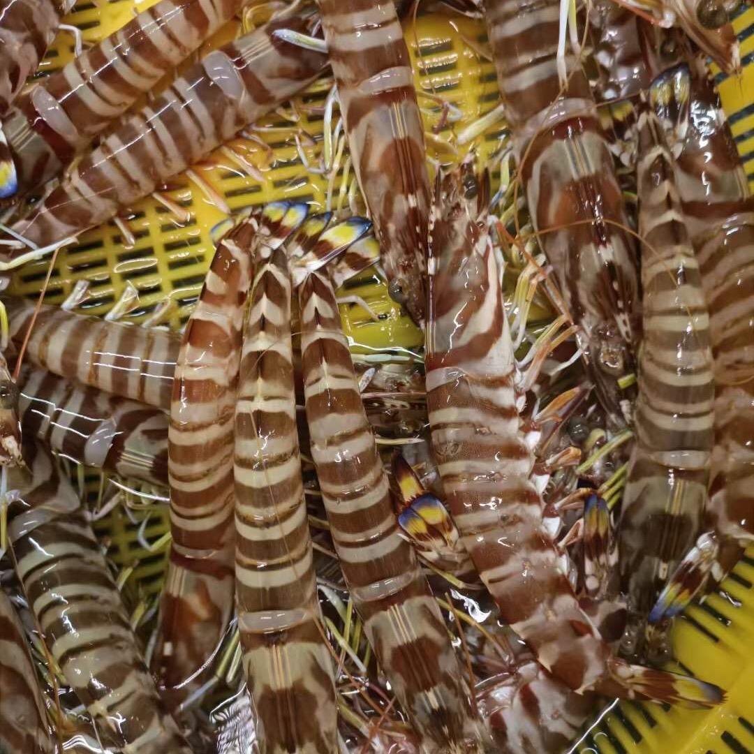 漳港渔民哥（2）