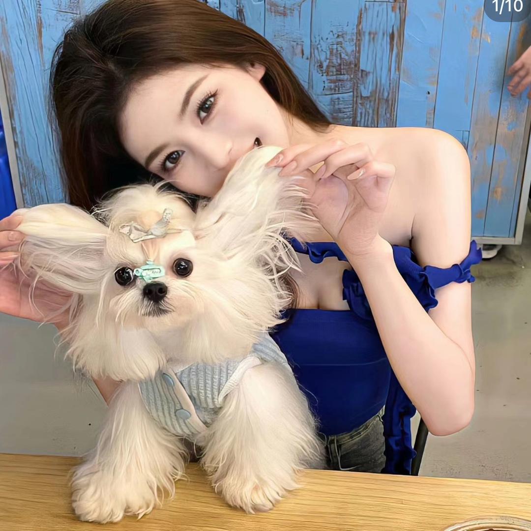刘窈窕💋
