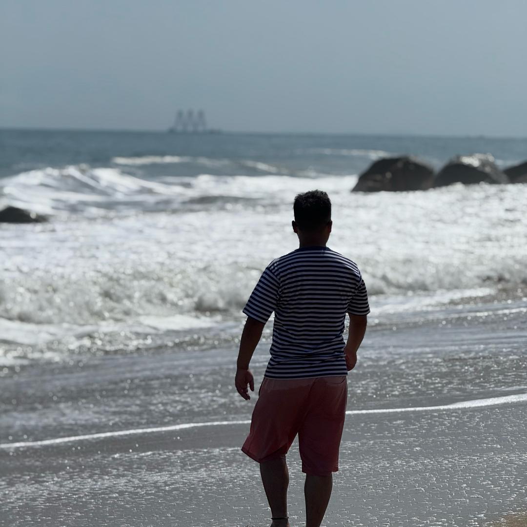 特立独行的猪·