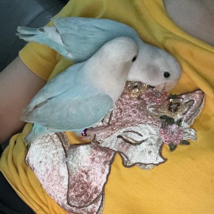 ღ欣儿💕💕࿐