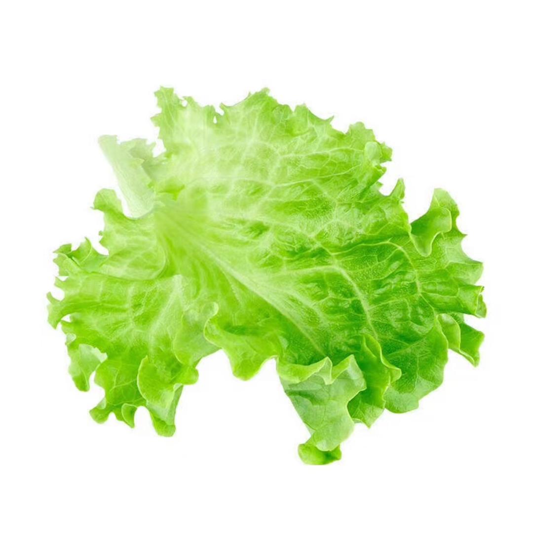 鱼香肉丝没有🐟