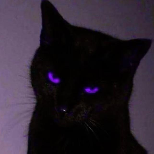 菜猫裹裹