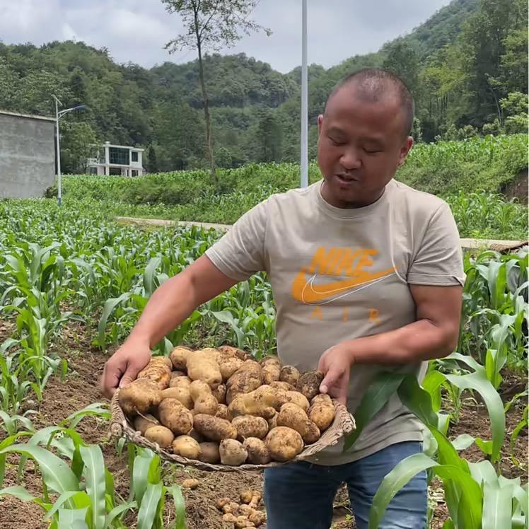 李三元特色农产品