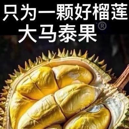 《大马*泰果》榴莲供应链