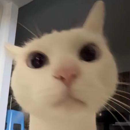 你愛听吗