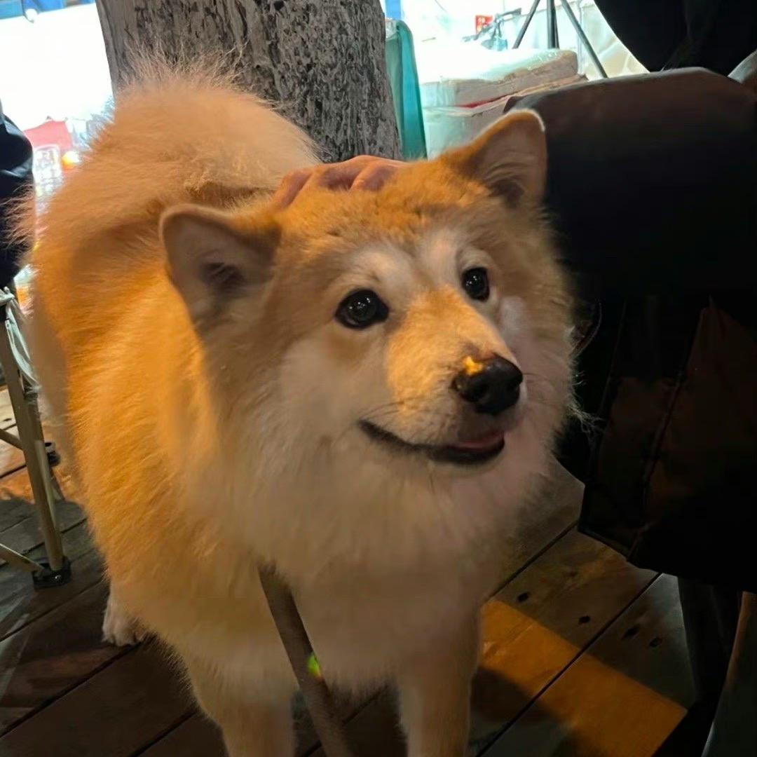 超超超级大汉堡🍔