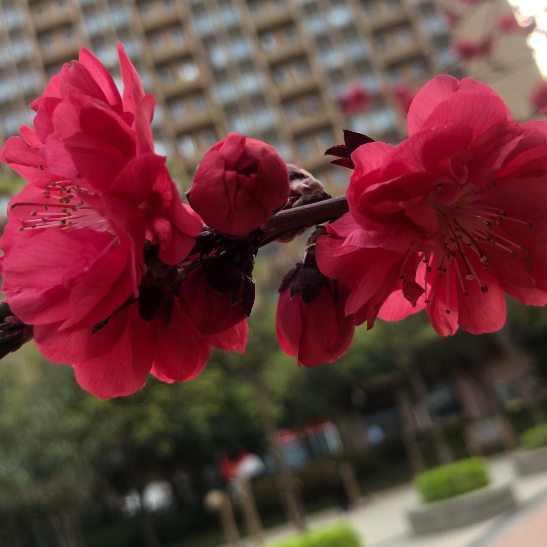 风清气正