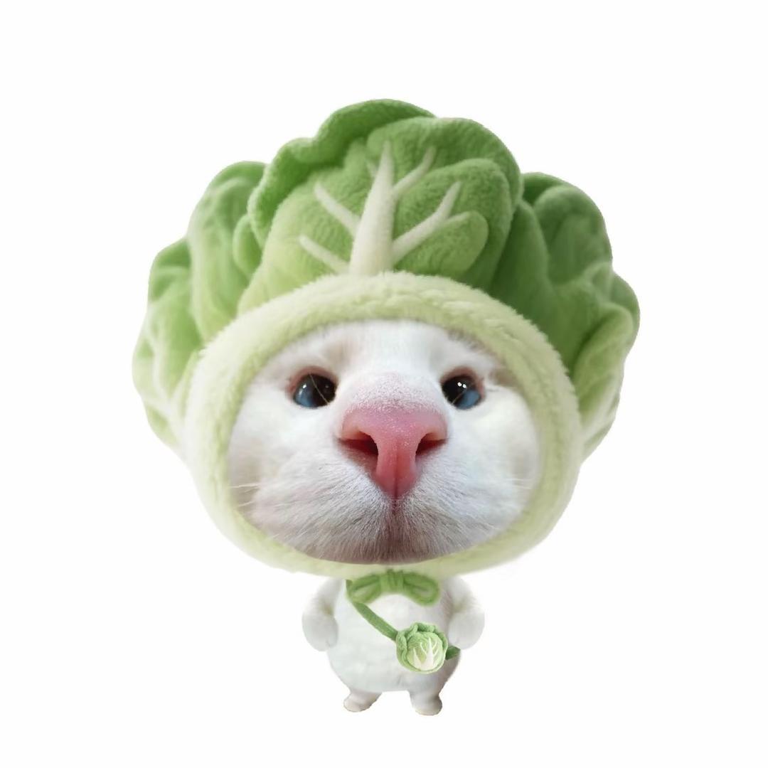嘟嘟欣大王