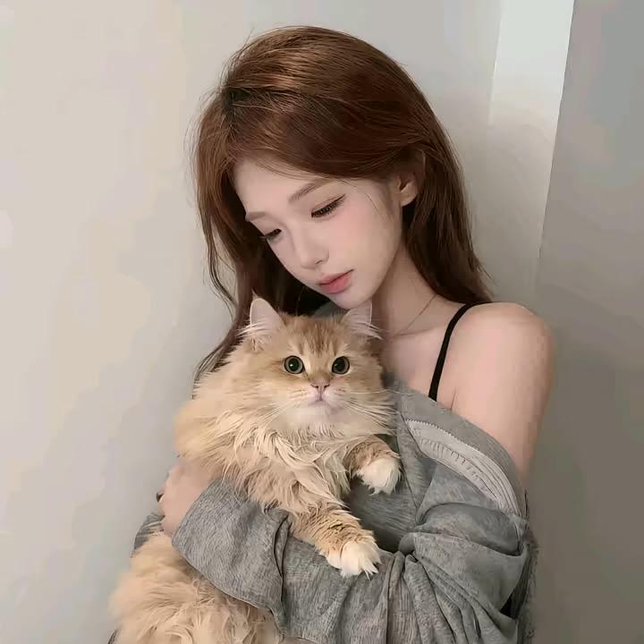 他的誓言如雾