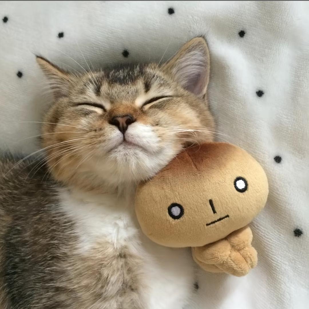 Hanaio🍔