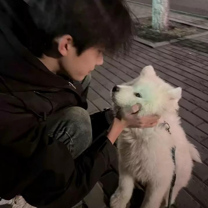 贺洋
