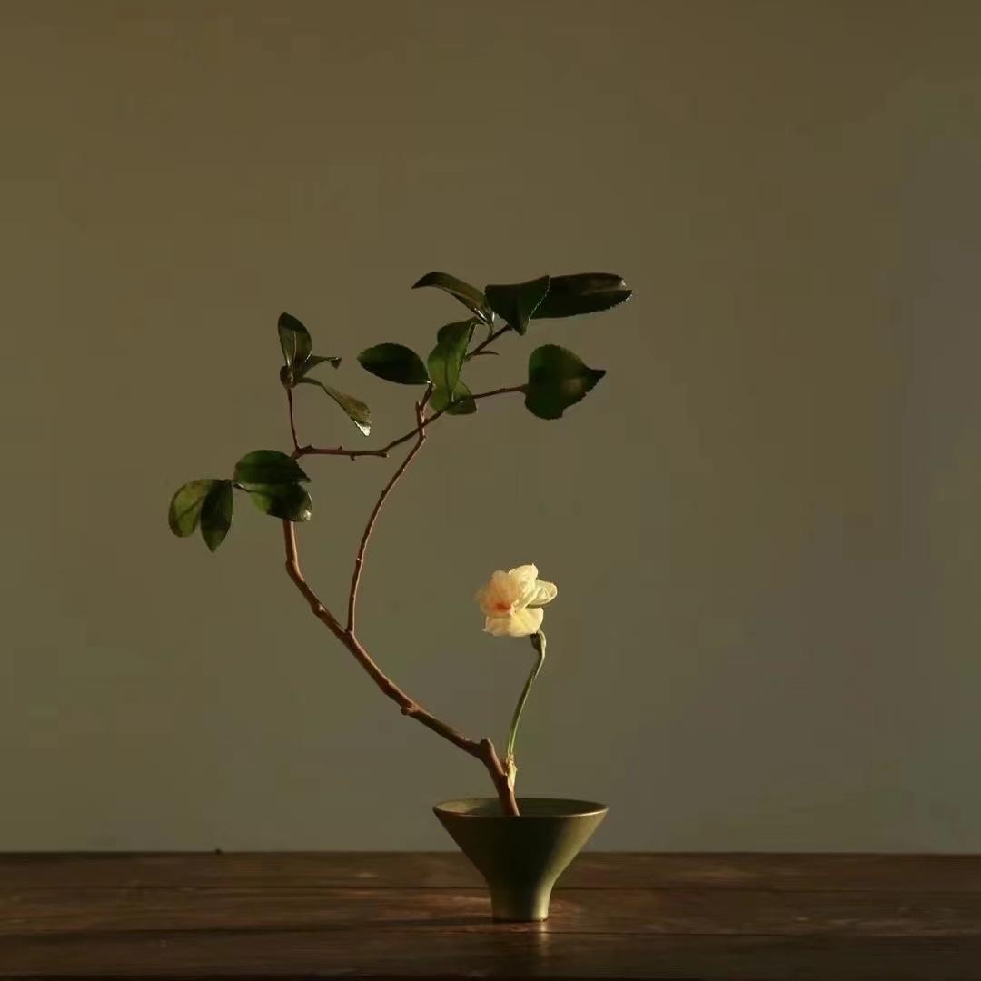逸轩茶仓