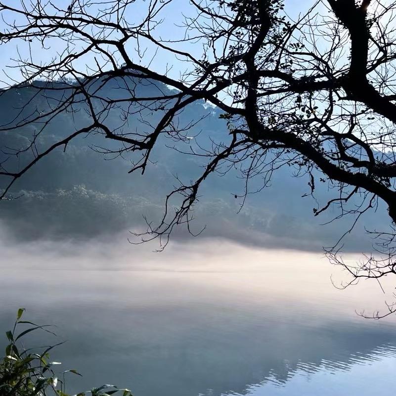 💬浮生