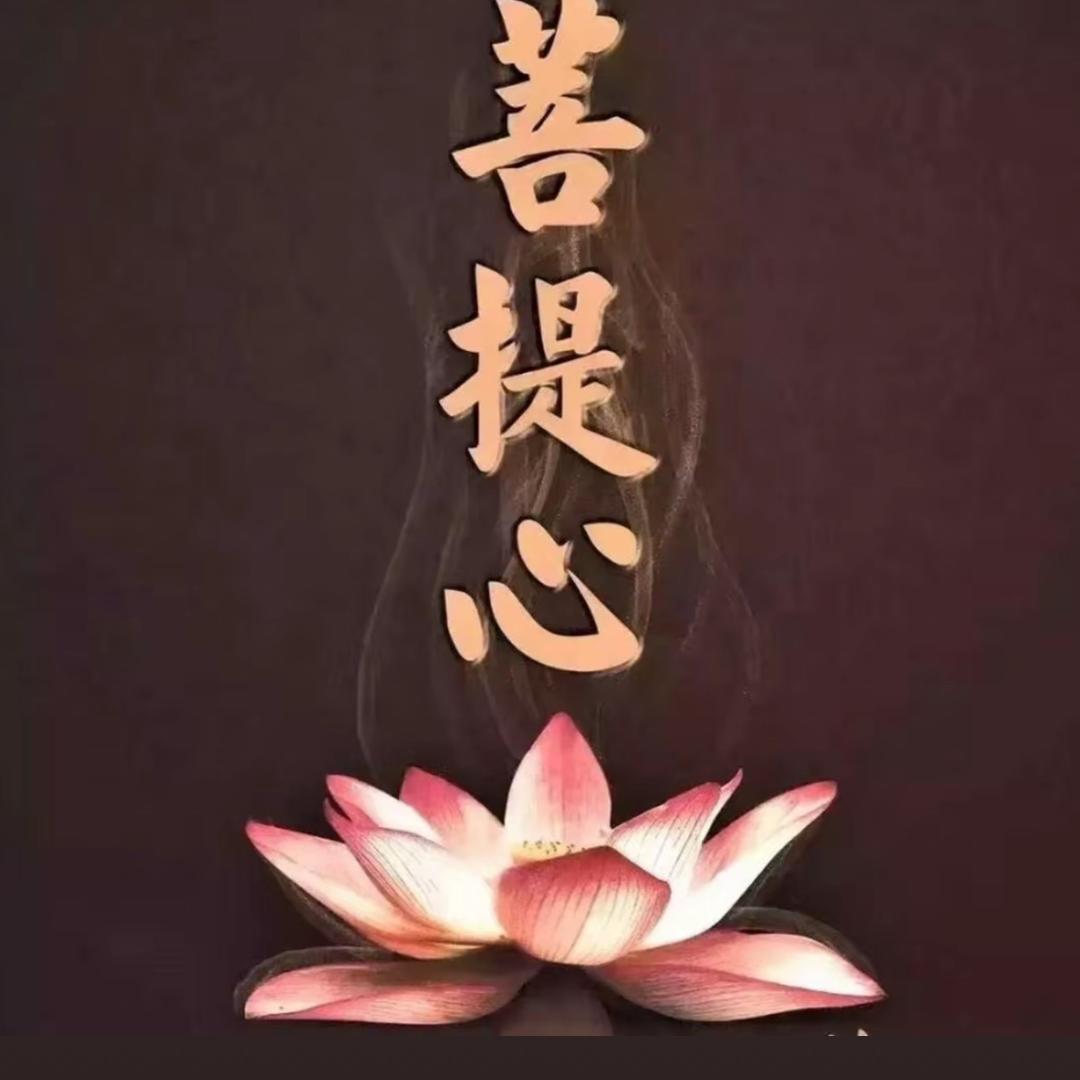 菩提📿