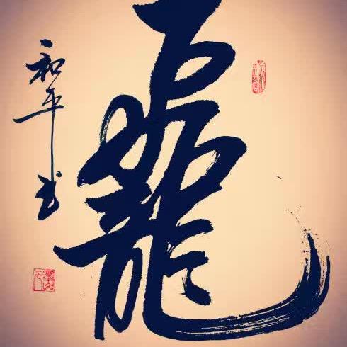 Fei龍