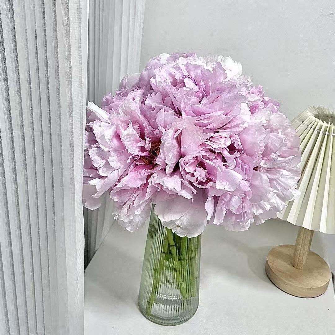 💐一念初见💐