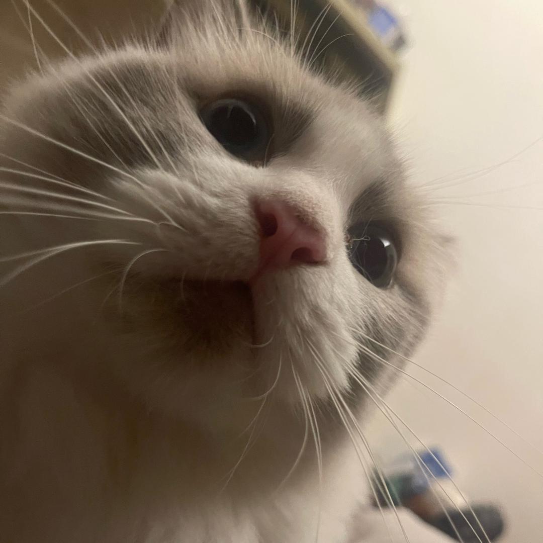 玖¥