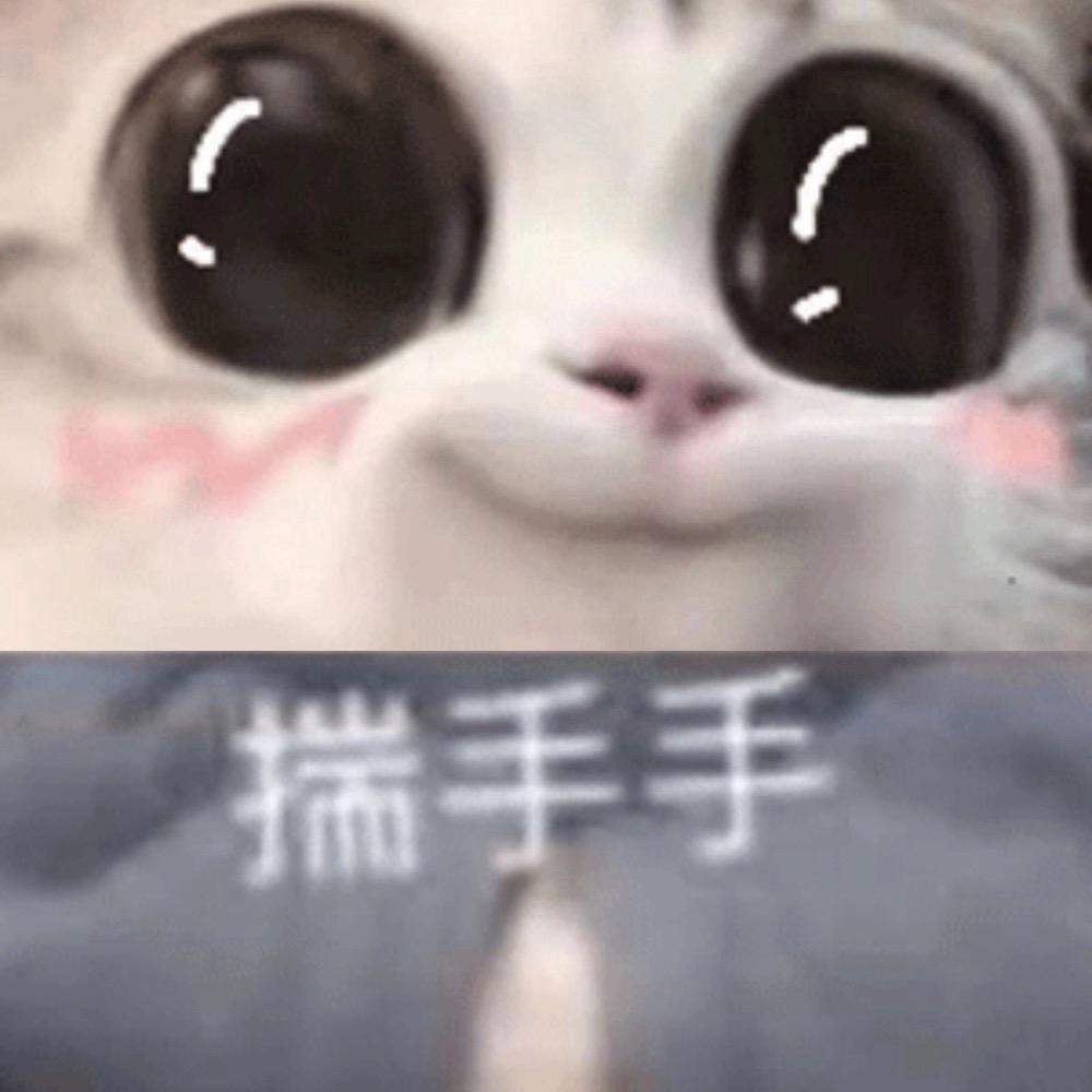 ﻌ可以揣手手嚒