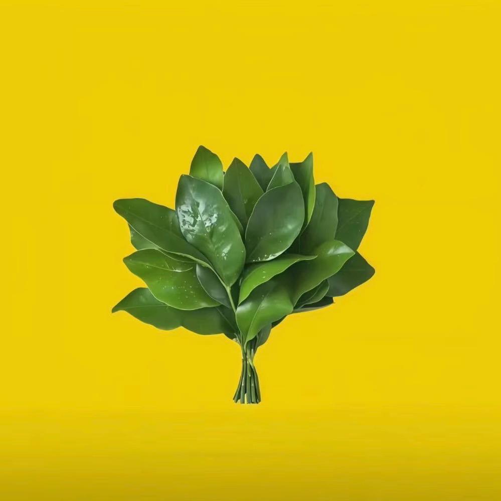 黑妹🧚🏻‍♀️