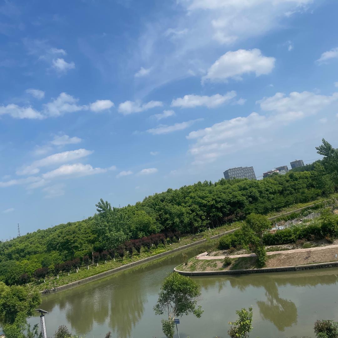 明天的明天