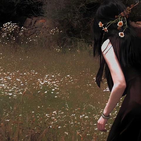 婳蒅