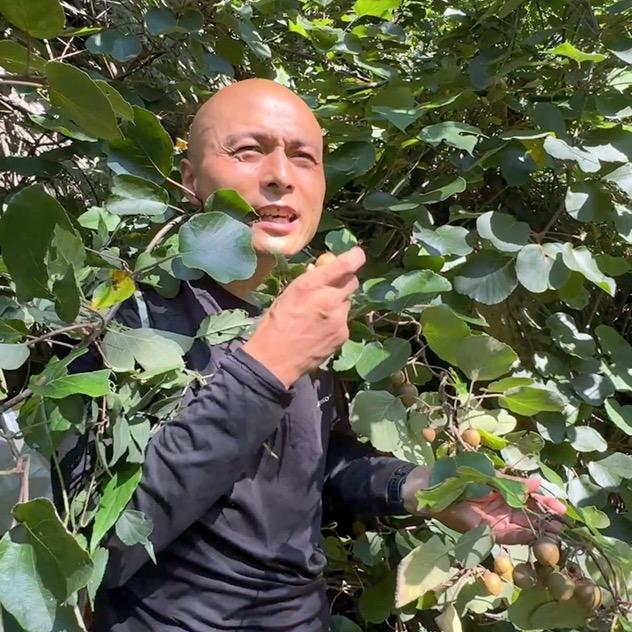 老洛的大山生活