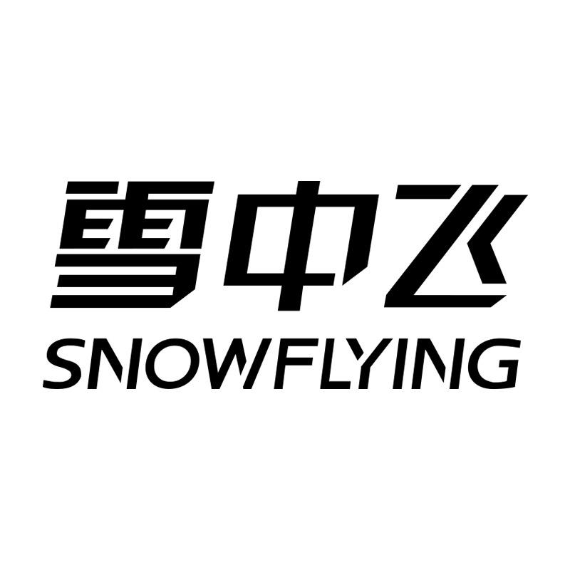 雪中飞男子旗舰店